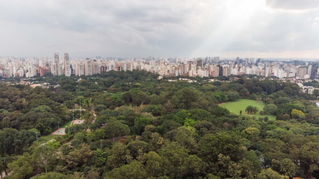 Imagem mostra o parque do ibirapuera em são paulo