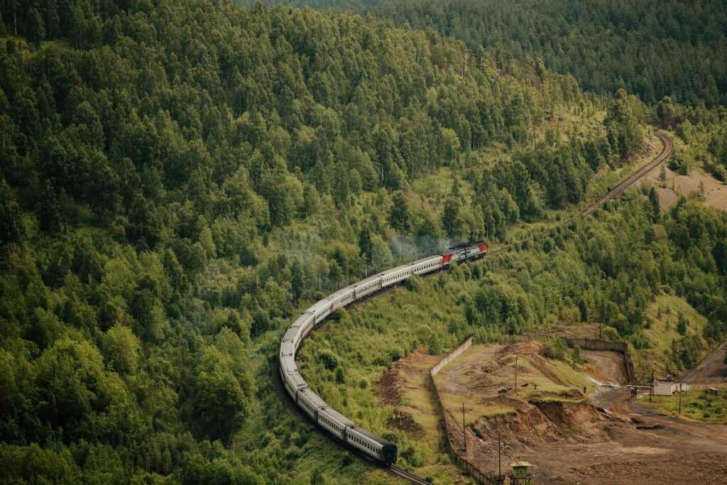 Imagem mostra trem do Brasil na linha ferrea