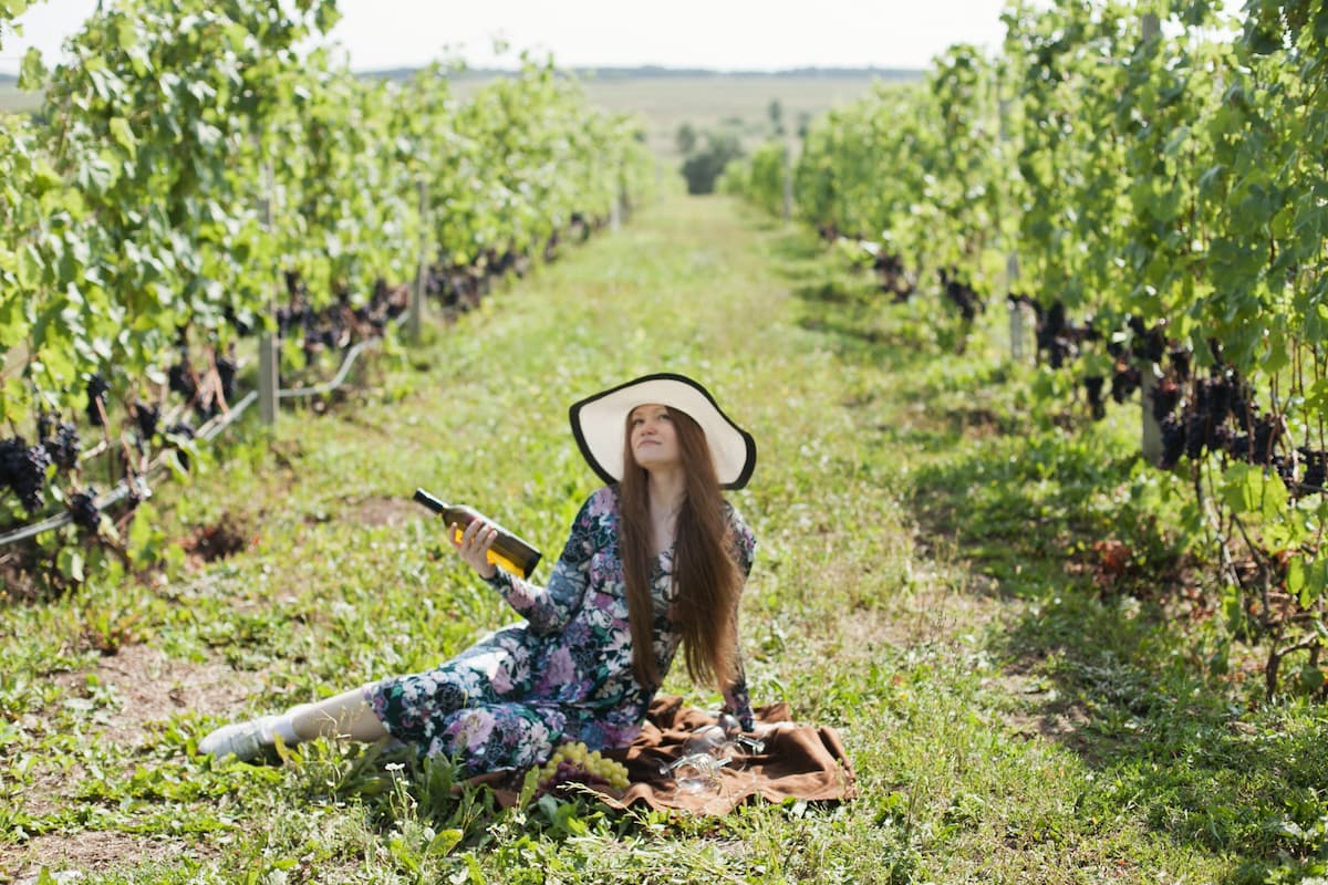 Imagem mostra turista na vinicola conha y toro