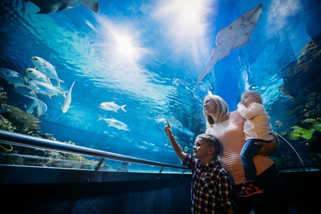 Imagem mostra mães e filhos no AquaRio, um dos imperdíveis passeios no Rio de Janeiro.